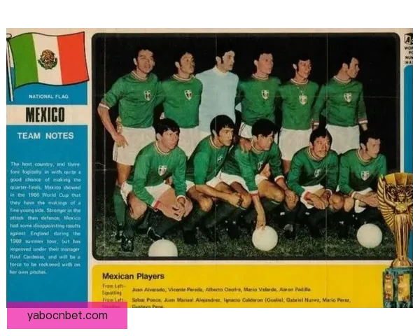 围绕二零二六世界杯比赛城市展开的北美足球文化与城市魅力探索之旅指南